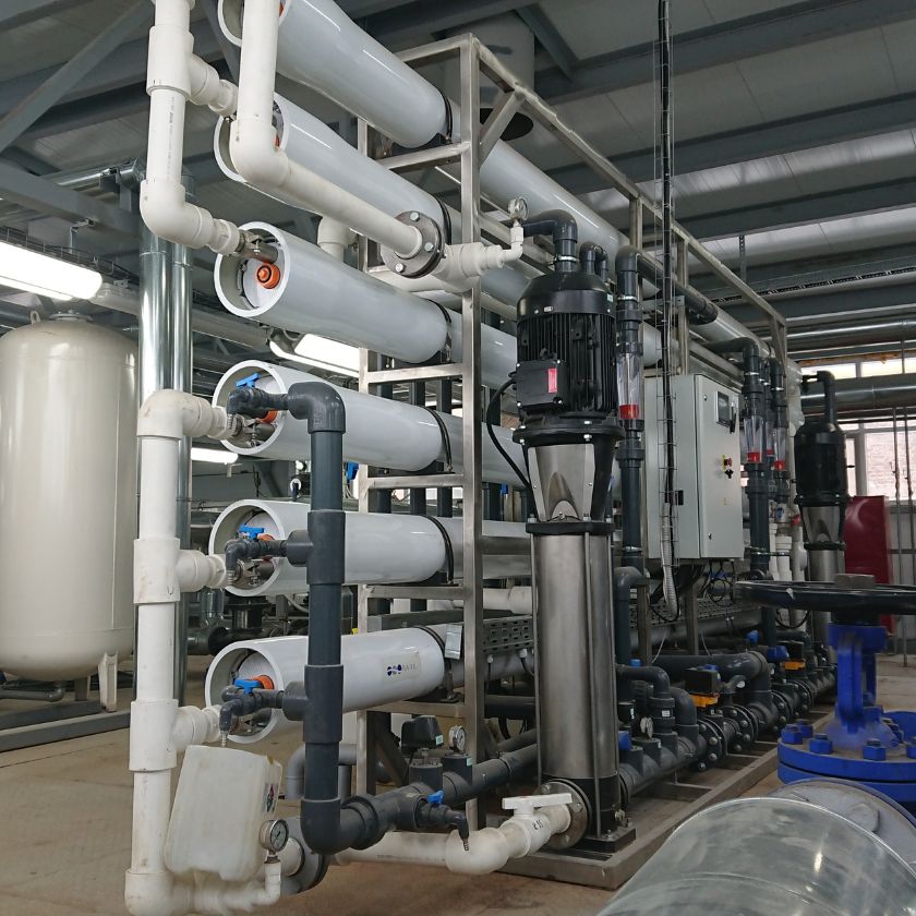 Tugo Aqua Water Plant